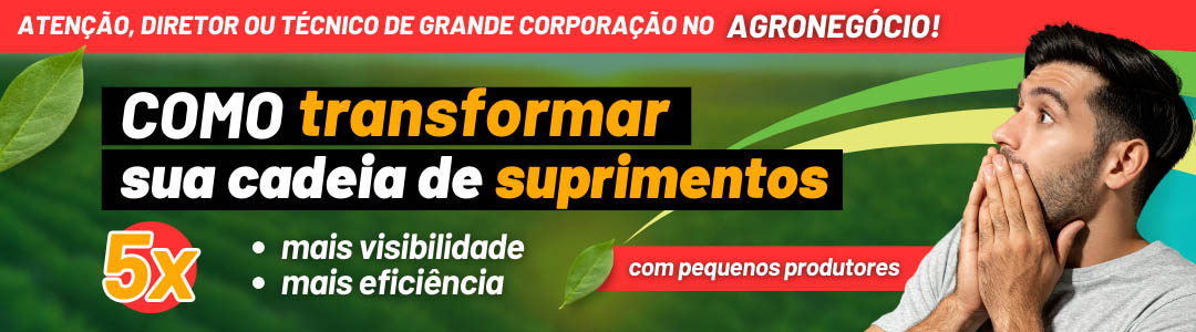 Como transformar a sua cadeia de suprimentos